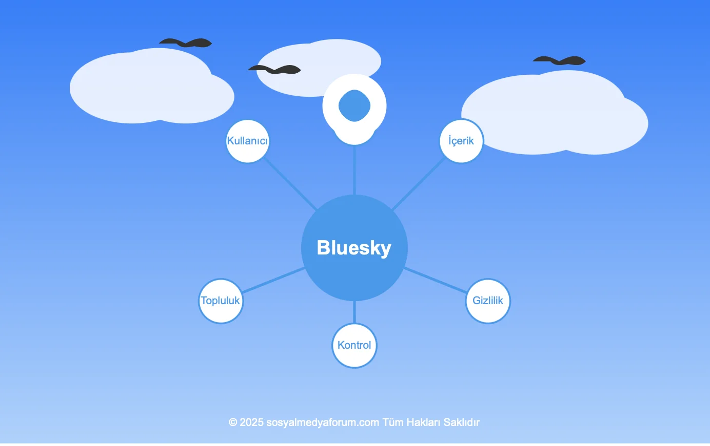 bluesky.sosylamedyaforum.com.webp